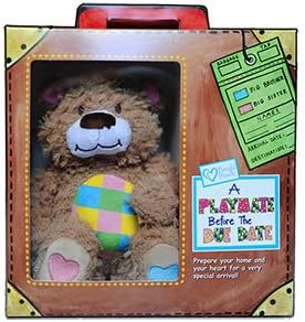 Teddy Bear Toy - "A Playmate Before the Due Date" Book With Toy Gift - Read Along Book With Stuffed Teddy Bear New Baby Gift