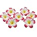 Sealike 100 piezas diámetro 6,1 cm Plumeria Rubra hawaiano Artificial pétalos de flores para boda G decoración para fiestas con lápiz óptico
