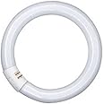 Osram Fluorescent Tube/LUMILUX T9 C / G10Q-Socket / 22 watt/Cold-White / 4000K