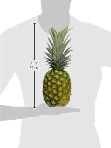Gold Pineapple - Image 2