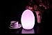 Mr.Go 11-Inch LED Egg Lamp with Remote - Color-Changing, Cordless, Waterproof, Rechargeable Night Light Mood Lighting - 16 RGB Colors, 4 Modes, Dimmable - Great as Table Centerpiece or Room Decoration