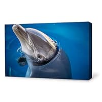 Canvas Wall Art Lovely Dolphin Canvas Prints Home Artwork Decoration for Living Room,Bedroom - 12x18 inches
