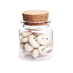 luzen 2Pcs 50ml Empty Clear Glass Bottles Vials