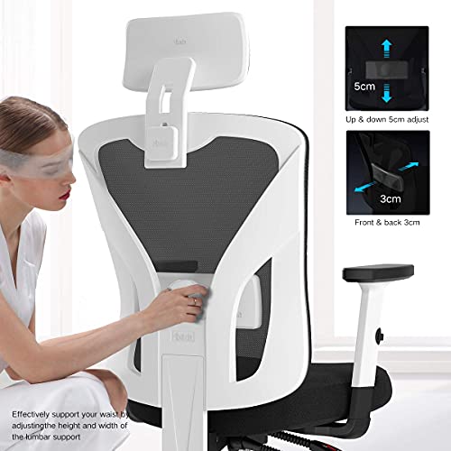 Hbada Ergonomic Office Desk Chair with Adjustable Armrest, Lumbar
