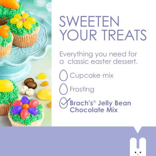 Brach's Jelly Bean Chocolate Mix Bag of FruitFlavored Jelly Beans Dipped in Real Milk