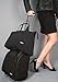 Travelon Wheeled Underseat Carry-On with Back-Up Bag