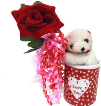 Teddy Bear in a Cup with Red Rose