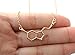 Rosa Vila Happiness Serotonin Molecule Necklace, Happiness Neurotransmitter Necklace, Organic Chemistry Jewelry for Science Lovers, Science Major College Graduation Jewelry, 19” Chain