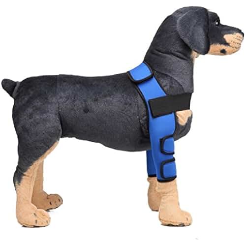 elbow protector for dogs