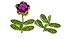 Creative Hands Glitter Foam Stickers, Flowers