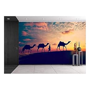 Vintage Retro Effect Filtered Hipster Style Image of Rajasthan Travel Background - Removable Wall Mural | Self-Adhesive Large Wallpaper - 66x96 inches