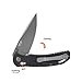 Firebird GANZO F7533 Pocket Folding Knife G-10 Handle with Clip 440C Stainless Steel Black Blade Hunting Fishing Camping Outdoor EDC Knife (Black)