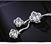 Rurah Zircon Fringed Clover Sweater Chain Necklace Pendant Women Girl Ornaments Fashion with Clothing Accessories