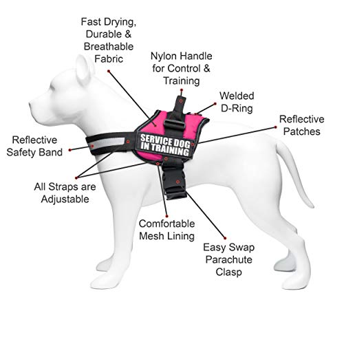Service Dog In Training Vest With Hook and Loop Straps and Handle Harnesses In Sizes From XXS