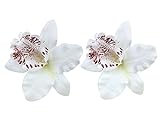 Dreamlily Hawaiian Orchid Flower Hair Clip Hair pins for Beach Party BC14 (White)