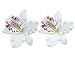 Dreamlily Hawaiian Orchid Flower Hair Clip Hair pins for Beach Party BC14 (White)