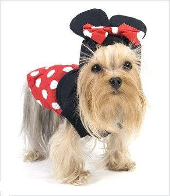 Mouse "Minnie" Costume For Dogs - Size 3 (10.75" x 14" - 16" g)