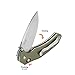 Firebird Folding Knife F7611 by Ganzo Pocket Folding Hunting Knife G-10 Handle SS Blade (Green)