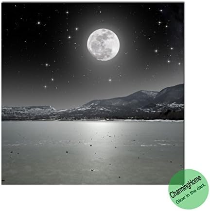 Wall Decoration for Living Room Wall - Glow in the Dark Black and White Moon in the Night Landscape - Panel Wall Painting Stretched Canvas (19.68x19.68Inches / 50x50cm) by CharmingHome