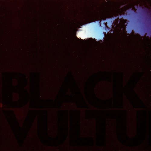 Album Art for Black Vultures by Norgren