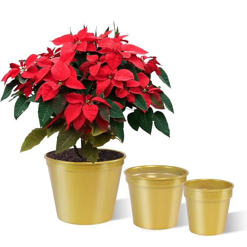 XGJSZP 3 Pcs Gold Flower Pots 7/5.5/4.3 Inch, Brass-Toned Garden Planters Round Decorative Metal Pot for Wedding, Living Room, Balcony Decoration…