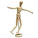AblueA Manikin Toy Wooden Mannequin Male/Female Torso Model for Beginner Artist Figure Drawing (12in)