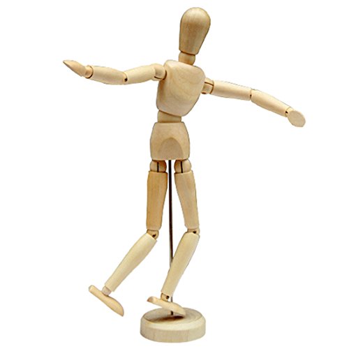 AblueA Manikin Toy Wooden Mannequin Male/Female Torso Model for Beginner Artist Figure Drawing (12in)