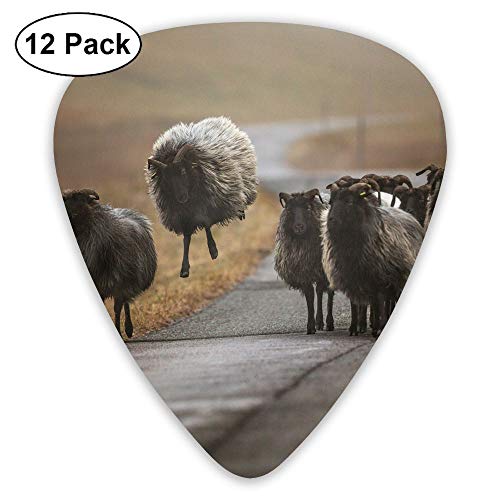 Classic Guitar Pick (12 Pack) Highway Sheeps Player's Pack for Electric Guitar,Acoustic Guitar,Mandolin,Guitar Bass