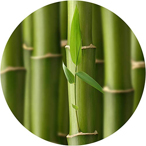 Extra Large Bamboo Cutting Board for Kitchen with Juice Groove - 17.5 x 13.5 x 0.75 inch - //medicalbooks.filipinodoctors.org