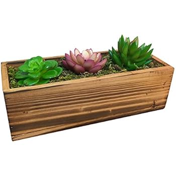 Amazon.com : Wooden Plant Seeds Box, 3Pcs Indoor Outdoor