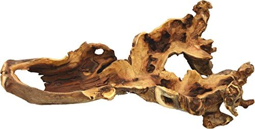 Nature Parts 4000397 – Burl Wood Bone Bowl in Natural Size: 20 X 40 X 10 Cm, Wood