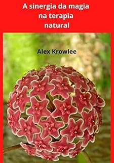 Livro A Sinergia Da Magia Na Terapia Natural