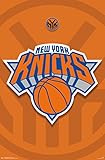 New York Knicks - Logo 14 Poster 22 x 34in