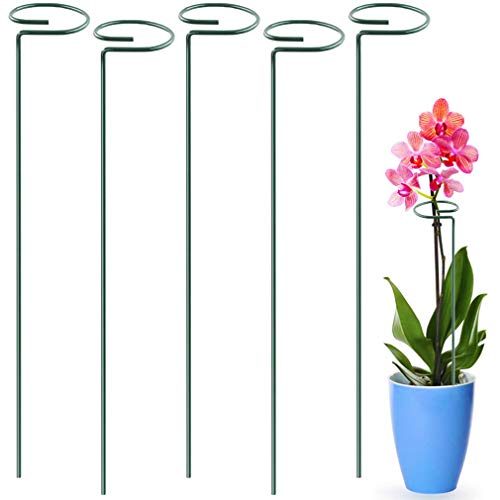 5 Pack Plant Support Stakes, Metal Single Stem Plant Support Stakes Garden Plant Cage Support Rings for Flowers Tomatoes Peony Lily Orchid Rose etc. (5Pcs Single Stem Plant Support)