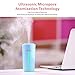 CLEEFUN Portable Small Cool Mist humidifier , Desktop Ultrasonic USB Air humidifier for Office Desk Home Bedroom and Car, 230ML Mini Cup Humidifiers with LED Night Light and No Noise(Blue)