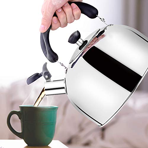 6 Stovetop+Whistling+Stainless+Capacity+ECPURCHASE