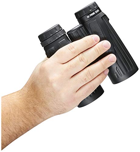 41nl4ip1a4L Bushnell Legend Ultra HD Roof Prism Binocular - Image 5