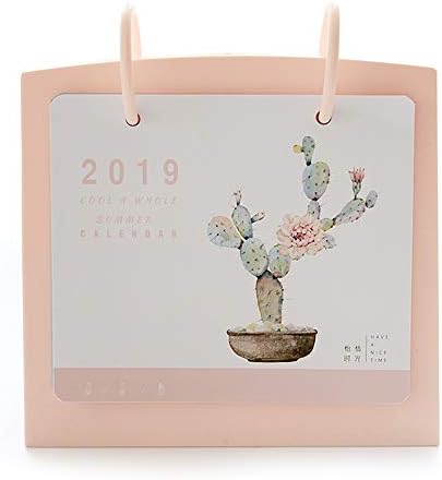 Baidercor 2019 Chinese Desk Calendar Planner Coin Bank Cactus Pink