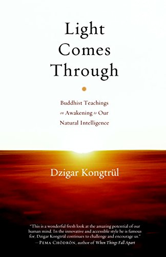Light Comes Through: Buddhist Teachings on Awakening to Our Natural Intelligence - //medicalbooks.filipinodoctors.org