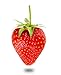 Mrs. Miller's Amish Homemade Strawberry Jam 18 oz/509g - 2 Jars (36 ounces Total)