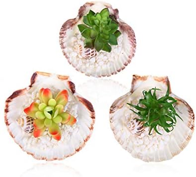 SILUKER Decorative Artificial Succulent Plants Faux Succulent Cactus Bonsai in Shell Planter Pots(set of 3)