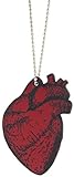 Made from Books Wooden Anatomical Heart Novelty Car