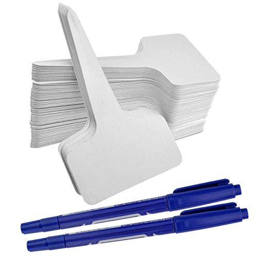 ishua 1000Pcs Plant Tags, Garden Nursery Labels Plastic Pot Stakes 2.36'' x 3.94'' inch Grayish White, T-Type Tags Markers for Greenhouse Humidity Dome Orchard Botanical Garden