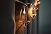 LuxLumi Diamonds are Forever Rose String Lights Gold & Wire Caged Soft White 20 LED Rustic Farmhouse Bedroom Nursery Dorm Home Décor Teen Kids Baby Fall Decorations (10.5FT)