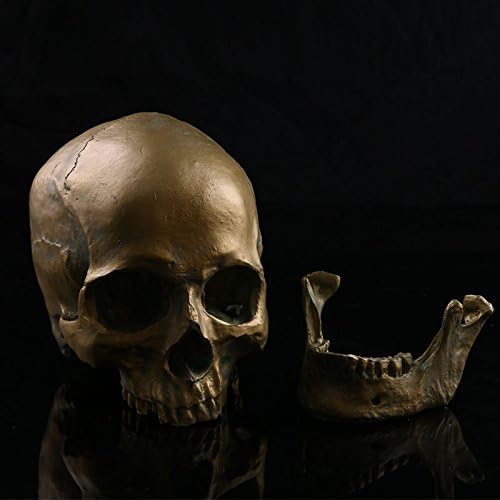 Medical Skull Model Simulation Resin Skull Halloween Skull Home Swings Personality Decoration Antique Copper