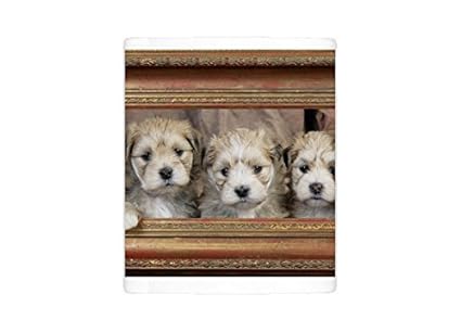 Mug Photo De Jd 20512 Poster érotique C Chien Ours En