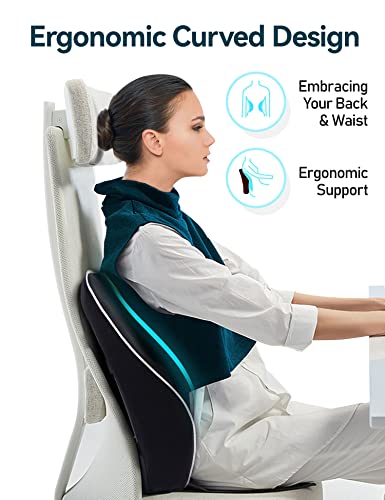TRAVEL EASE Ergonomic Lumbar Support Cushion, Memory Foam Back Support for Car Seat Office Chair Gaming Chair, Backrest with Skin-friendly Cover & Dual Adjustable Straps, Black