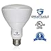 Great Eagle BR30 LED Bulb, 15W (100W Equivalent), 1250 Lumens, Direct Upgrade for 65W Bulb, 2700K Warm White Color, 120 Degree Beam Angle, Wide Flood Light, Dimmable, and UL Listed (Pack of 4)