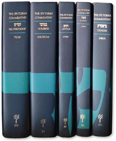 The New Interpreter's® Bible Commentary Ten Volume Set