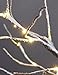 LIGHTSHARE Snow Dusted Tree with Warm White LED Lights, Brown, for Indoor and Outdoor, Christmas Decoration Idea (4FT)
